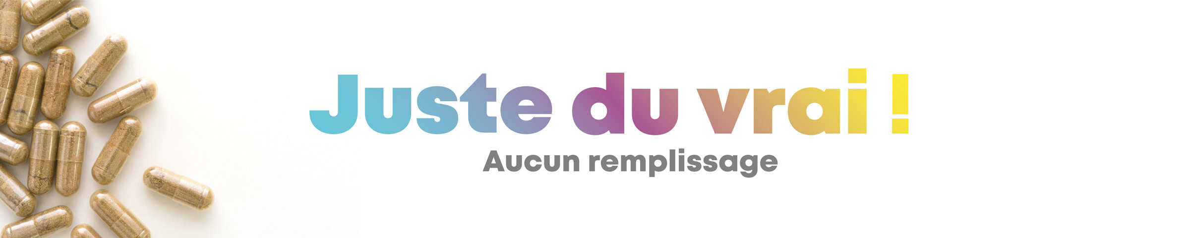 Bande_Accueil_Juste-du-vrai