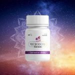 MDQC_ConnexionDivine_1200px_VF-fr